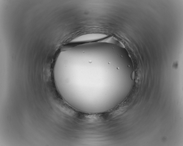 X0000090480516200707272322