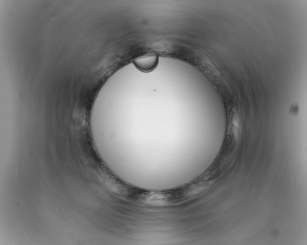 X0000090480518200707272321