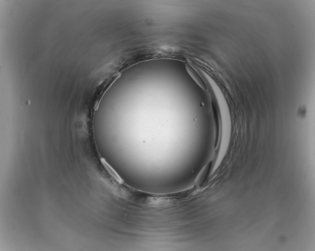 X0000090480520200707272321