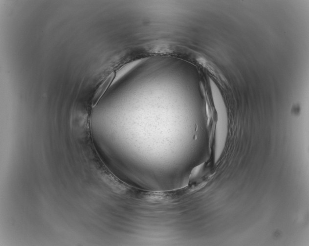 X0000090480521200707272321