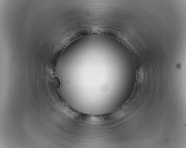 X0000090480522200707272321