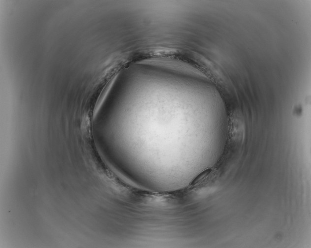 X0000090480523200707272321