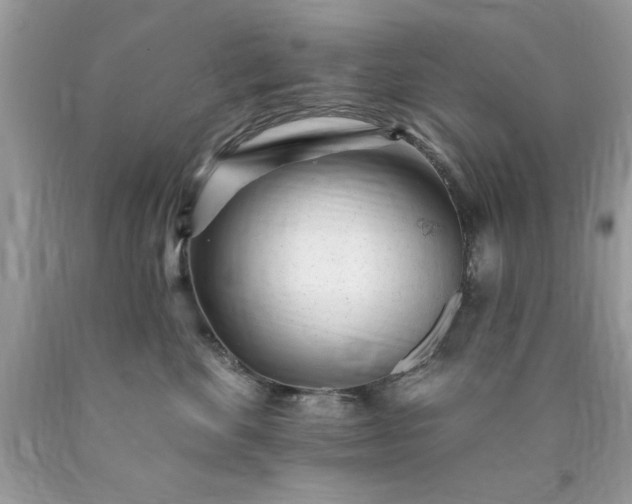 X0000090480524200707272321