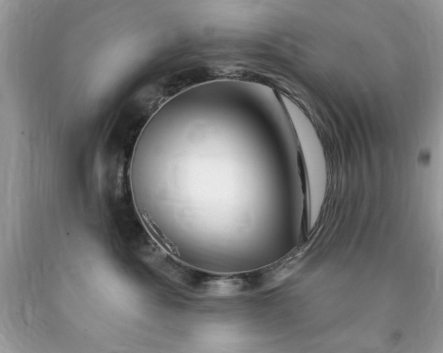 X0000090480525200707272321