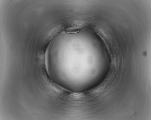 X0000090480526200707272321