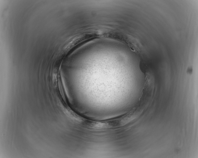 X0000090480527200707272321