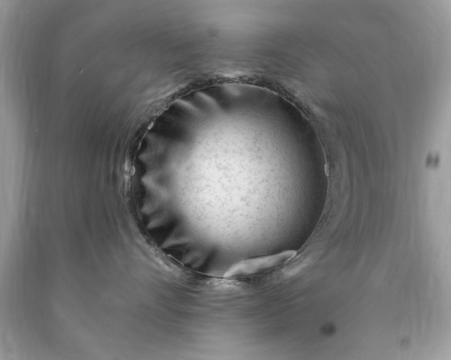 X0000090480528200707272321