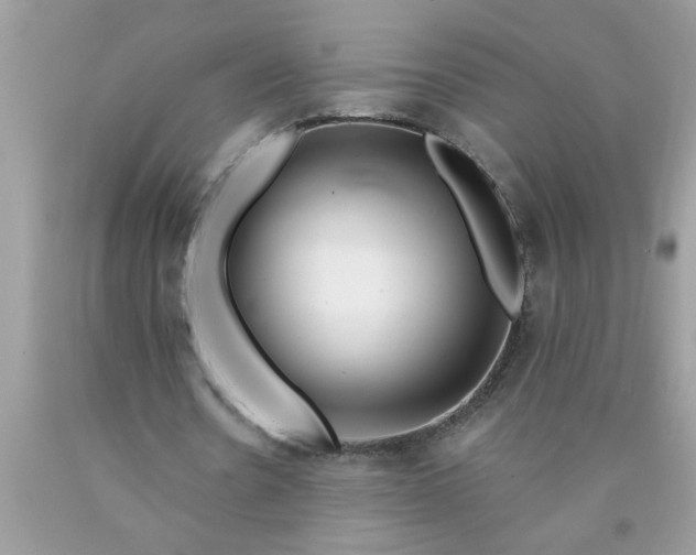 X0000090480530200707272321