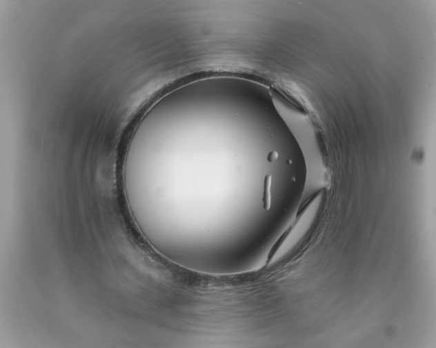 X0000090480531200707272321