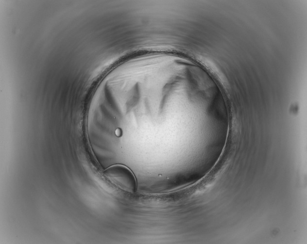 X0000090480533200707272321