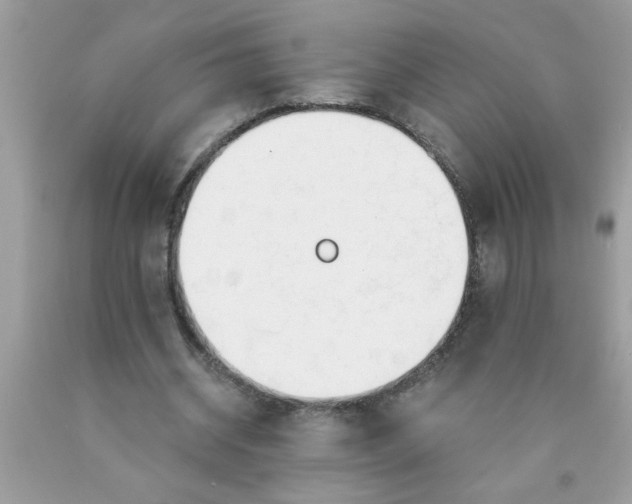X0000090480534200707272321
