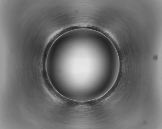 X0000090480536200707272321