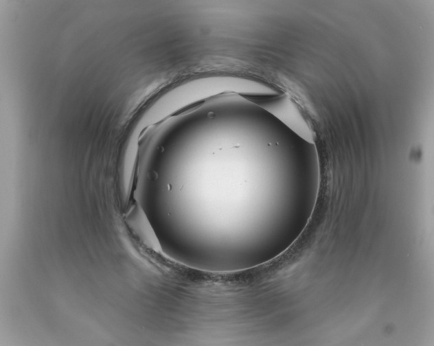 X0000090480538200707272321
