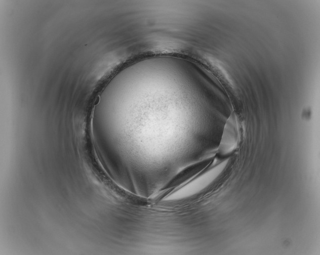 X0000090480539200707272321