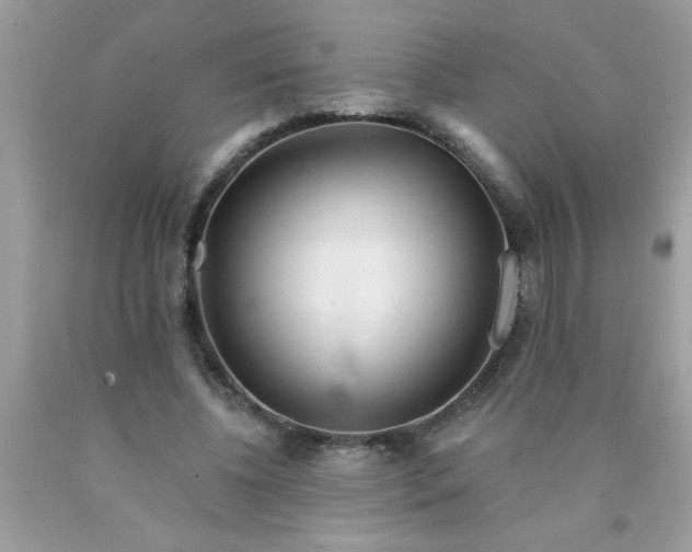 X0000090480540200707272321