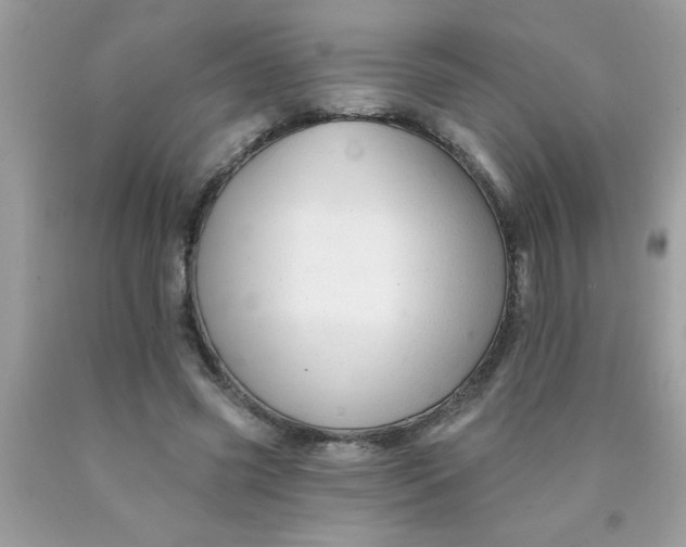 X0000090480541200707272321