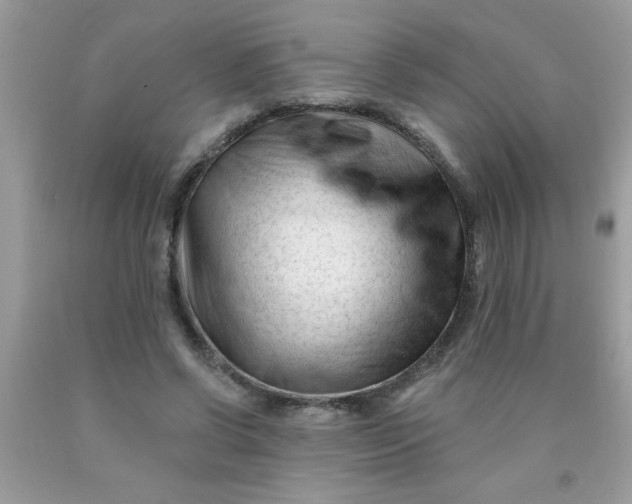 X0000090480542200707272321