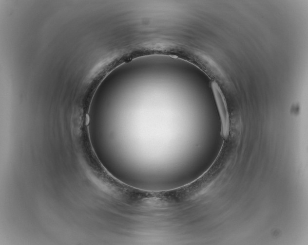 X0000090480544200707272321