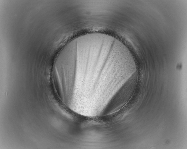 X0000090480545200707272321