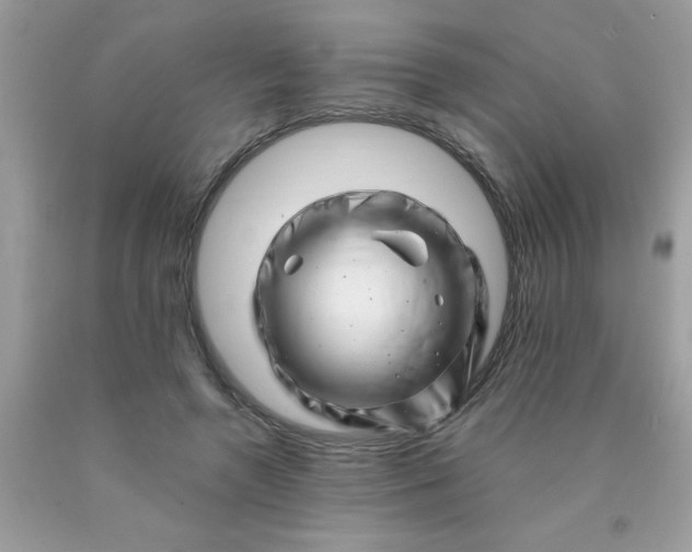 X0000090480546200707272321
