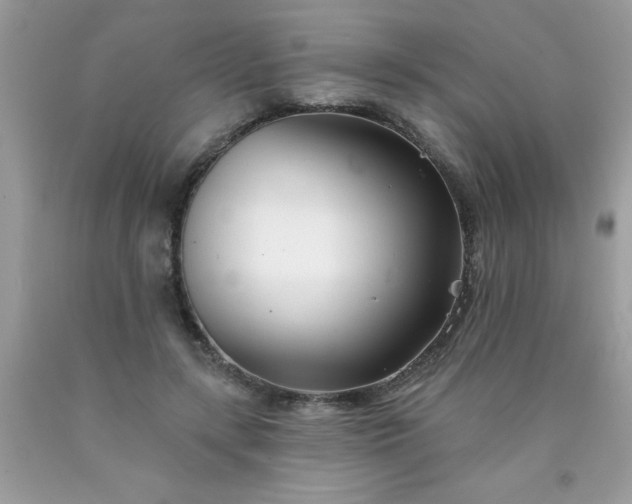 X0000090480547200707272321