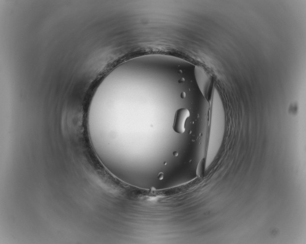 X0000090480548200707272321