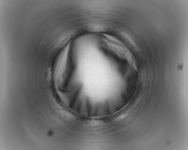 X0000090480549200707272321