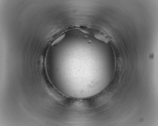 X0000090480550200707272321