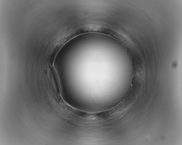 X0000090480551200707272321