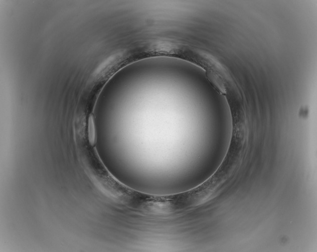 X0000090480552200707272321