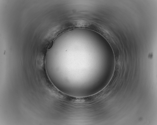 X0000090480554200707272321