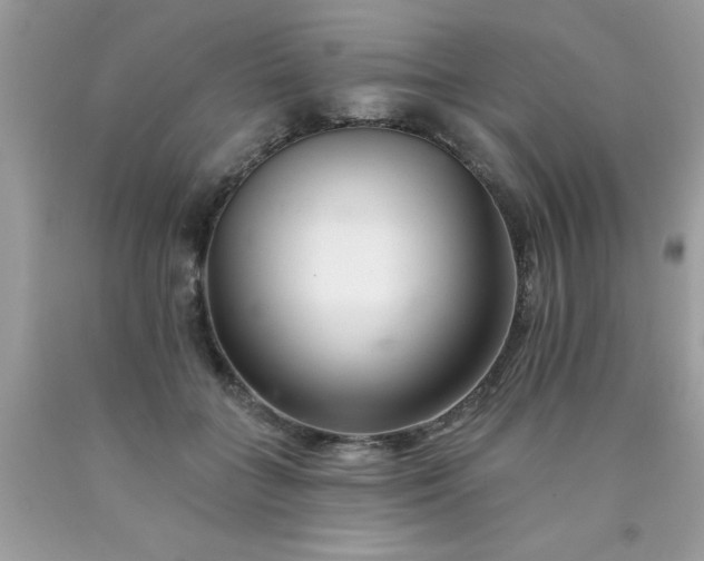 X0000090480555200707272321