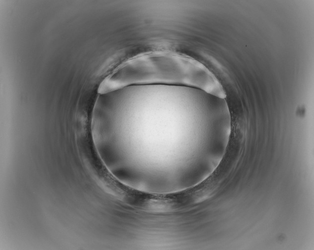 X0000090480556200707272321