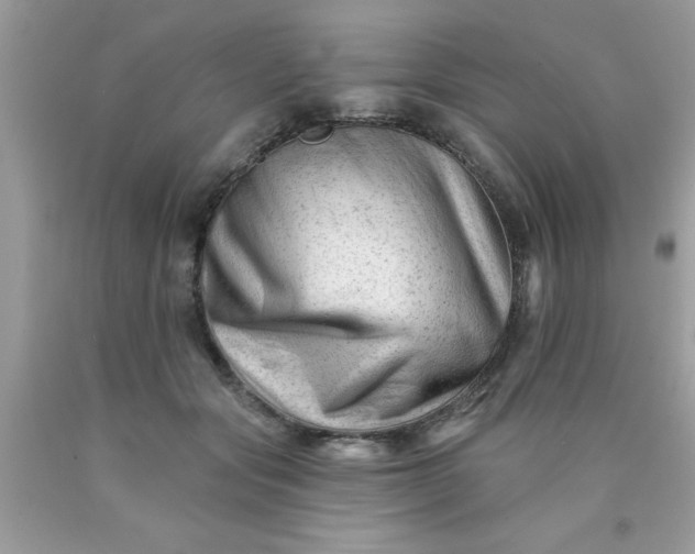 X0000090480557200707272321