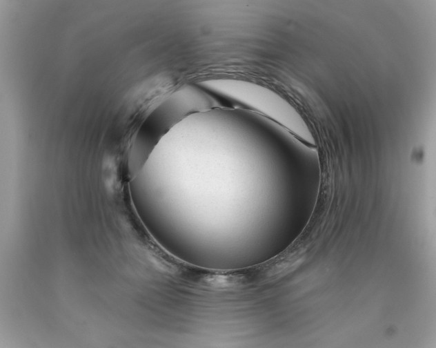 X0000090480558200707272321
