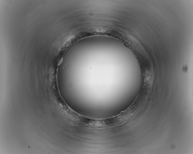 X0000090480559200707272321