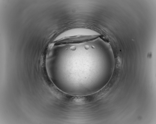 X0000090480560200707272321