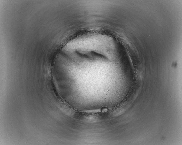 X0000090480561200707272321