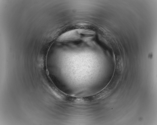 X0000090480562200707272321