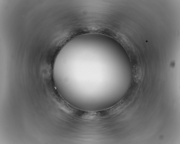 X0000090480563200707272321