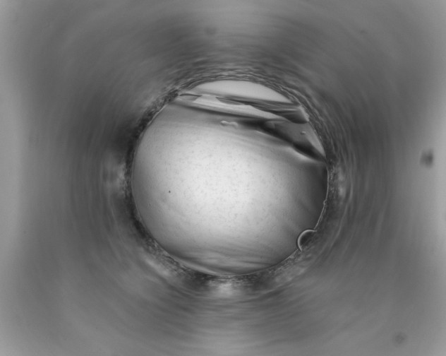 X0000090480564200707272321