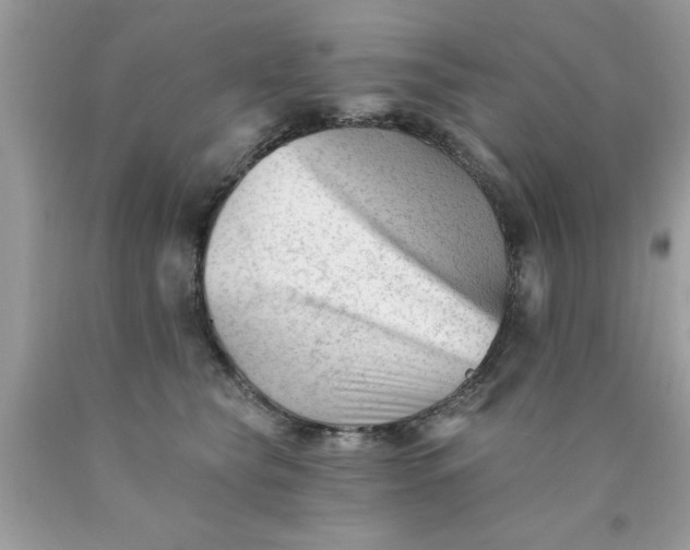 X0000090480565200707272321