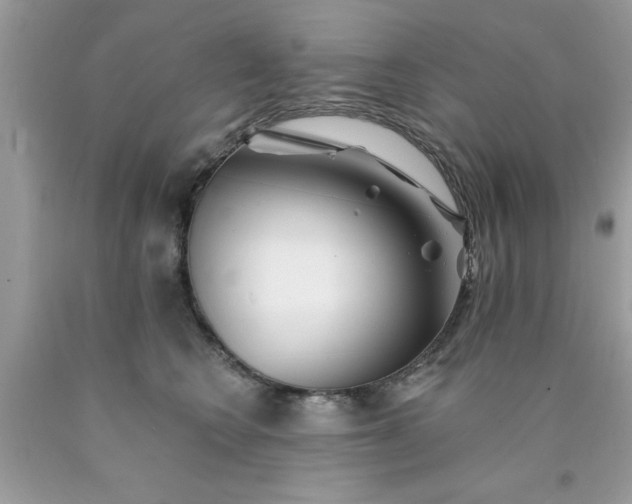 X0000090480566200707272321