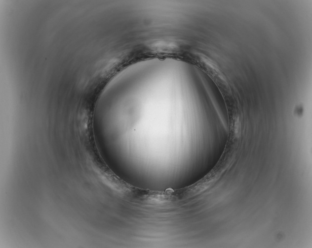X0000090480567200707272321