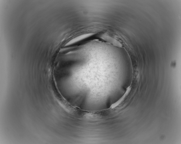 X0000090480568200707272321