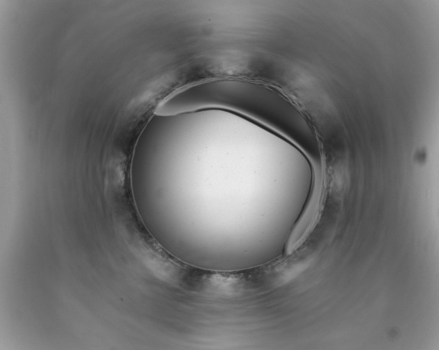 X0000090480570200707272321