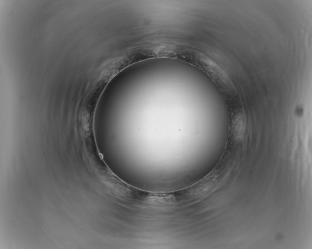 X0000090480571200707272321