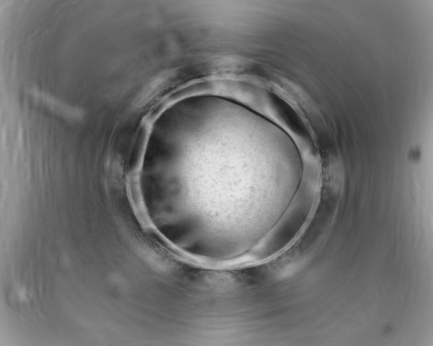 X0000090480572200707272321