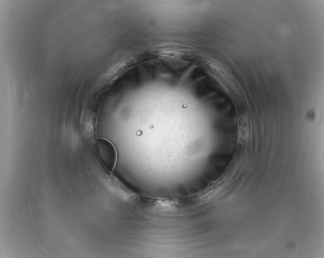 X0000090480573200707272321