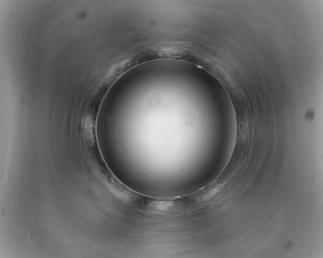 X0000090480575200707272321